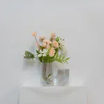 Stella Per Te * 维尔