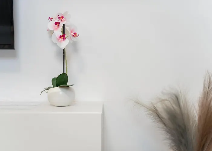 Stella Per Te Appartement *